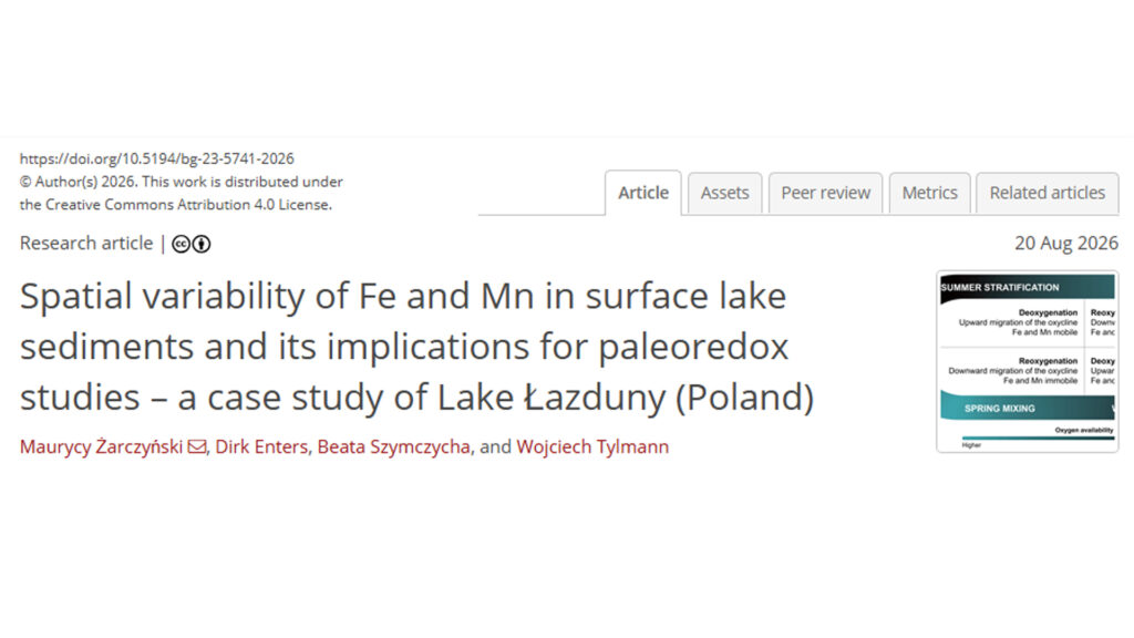 Zrzut ekranu ze strony z danymi artykułu