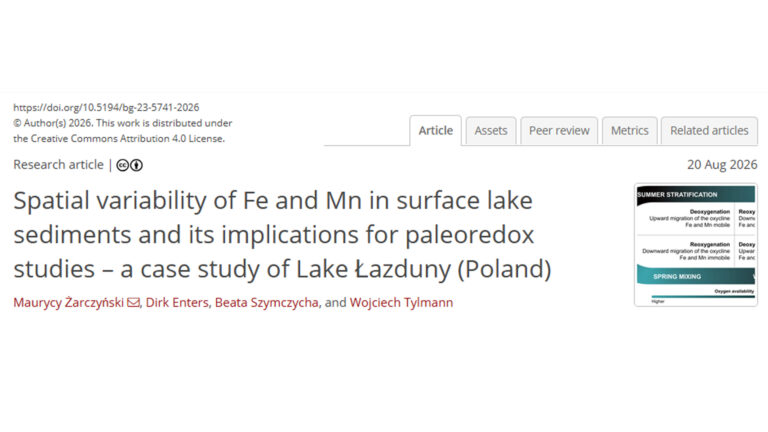 Zrzut ekranu ze strony z danymi artykułu