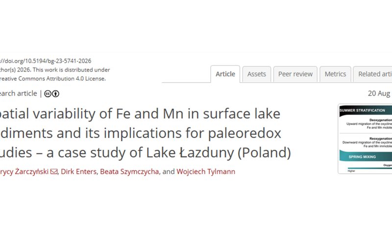 Zrzut ekranu ze strony z danymi artykułu