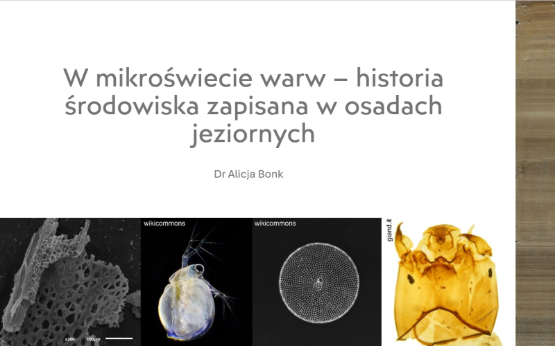 W mikroświecie warw